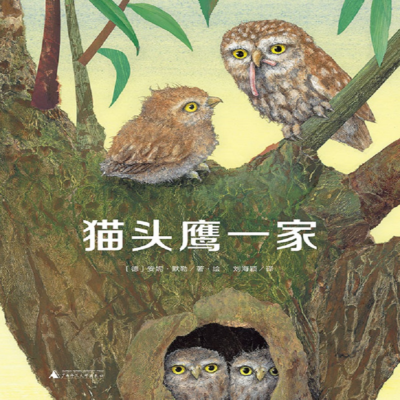从稳定到上涨:购买关键词,享受价格趋势