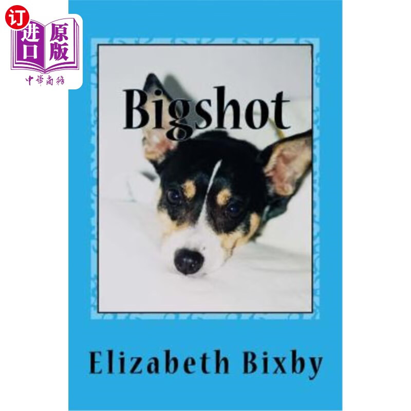 海外直订bigshot 大人物