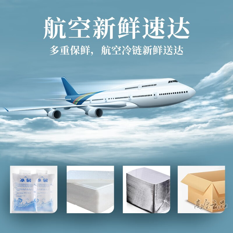 高原云品云南新鲜菌菇组合 【火锅菜】 多种食用菌新鲜搭配 营养美味 6种鲜菌菇组合共1000克