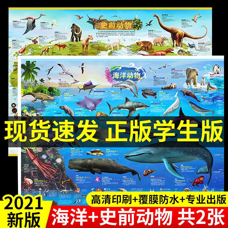【特价专区】2张史前动物+海洋动物地图儿童房实用挂图大尺寸高清覆膜防水墙贴儿童科普百科启蒙初中小学生