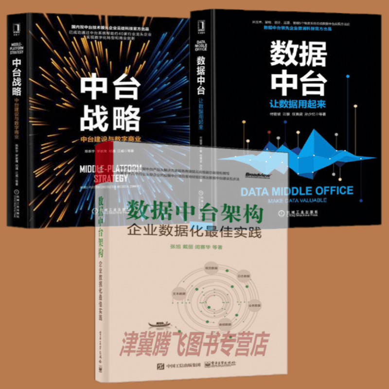 数据中台架构：企业数据化最佳实践+数据中台：让数据用起来+中台战略：中台建设与数字商业（套装共3册）