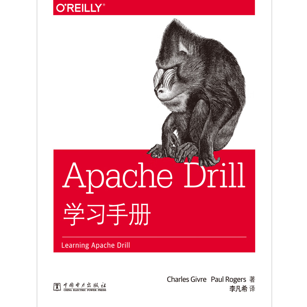Apache Drill学习手册详情图