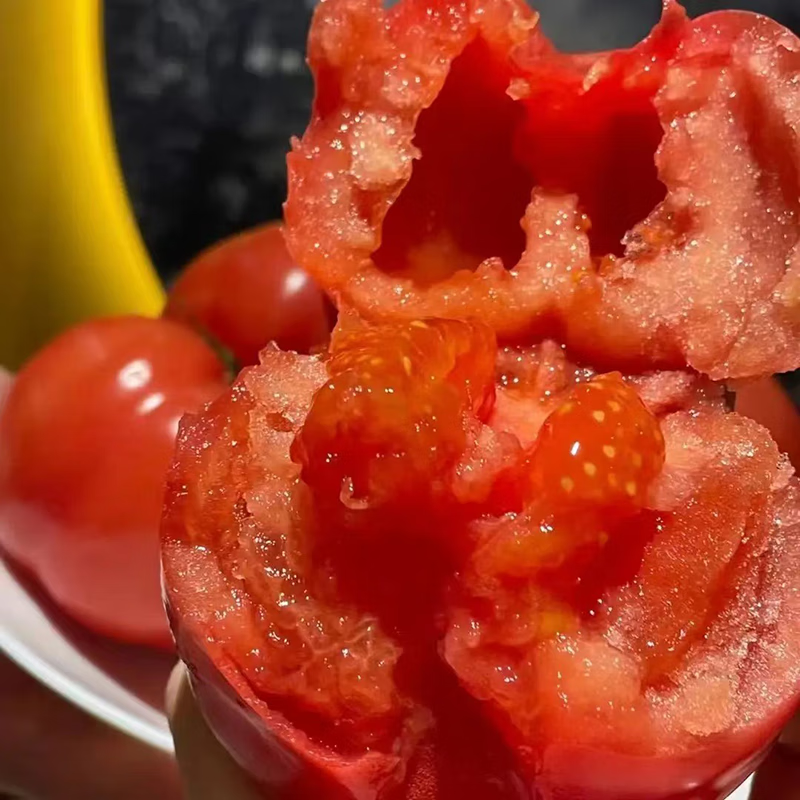 秦品堂陕西泾阳普罗旺斯西红柿【顺丰包邮】生吃沙瓤番茄西红柿自然熟 普罗旺斯中果 5斤 (中通,极兔)