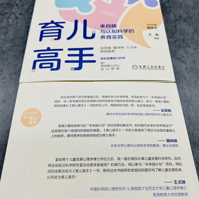 育儿高手：来自脑与认知科学的养育实践详情图