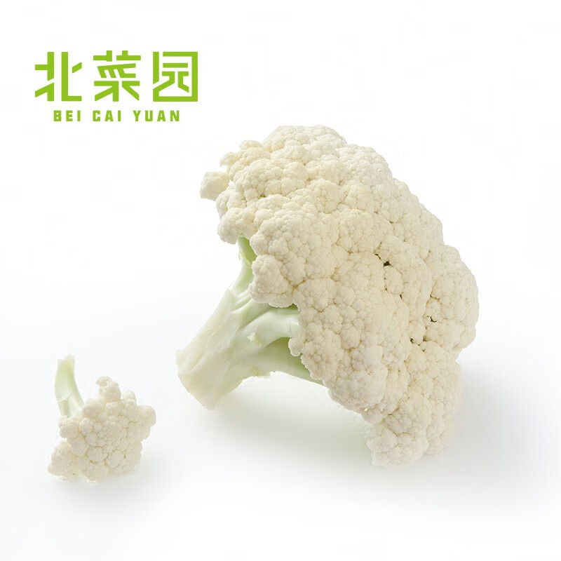 菜花 相关京东优惠商品 价格图片品牌优惠券 虎窝购 菜花 相关京东优惠商品 价格图片品牌优惠券 虎窝购
