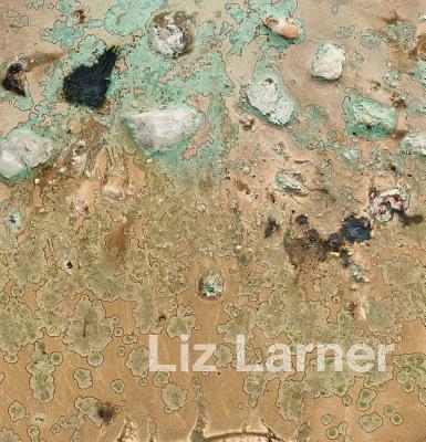 预订Liz Larner