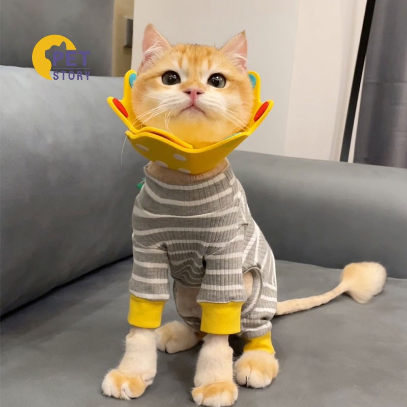 款软圈防水宠物幼猫咪头套防舔咬耻辱项圈伊利沙白奶猫脖圈 黄色皇冠s