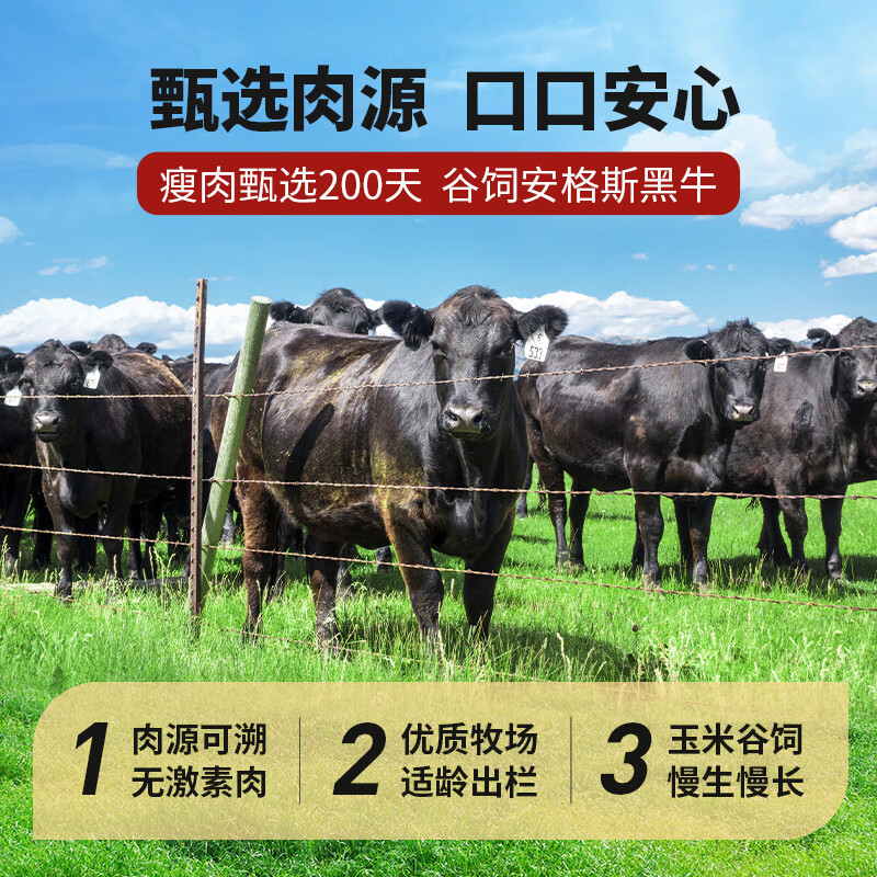 正是安格斯牛肉烤肠烤肉肠纯肉香肠黑椒火山石台式热狗肠清真脆皮烤肠 【3盒装】原味安格斯1盒+黑椒2盒