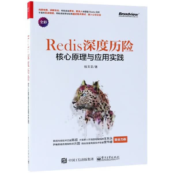 Redis深度历险(核心原理与应用实践全彩)