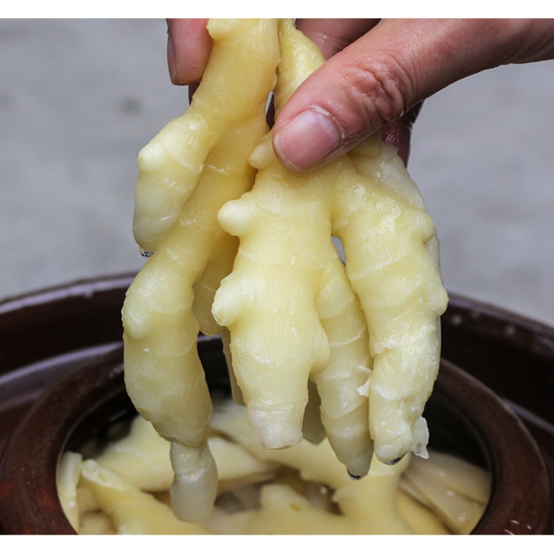 泡菜老坛泡仔姜农家风味泡嫩姜泡姜芽泡生姜腌制咸菜350g