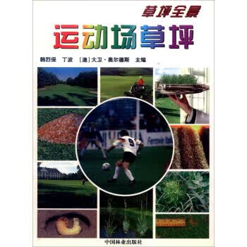 坪全景 运动场坪