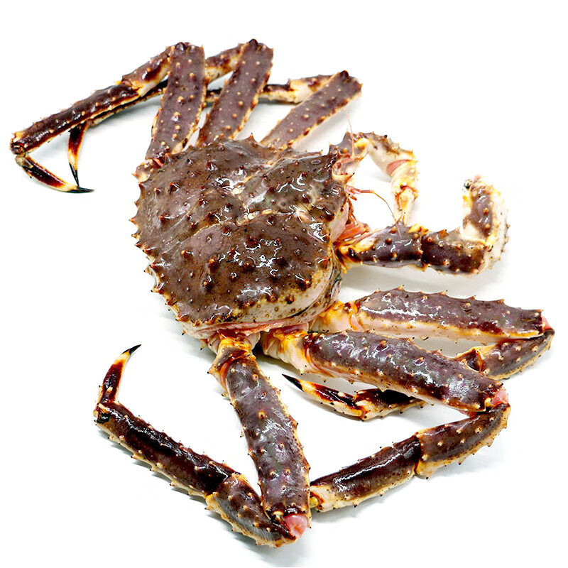 【活鲜】御鲜之王 鲜活帝王蟹2900-3050g/只 螃蟹生鲜 海鲜水产长脚蟹