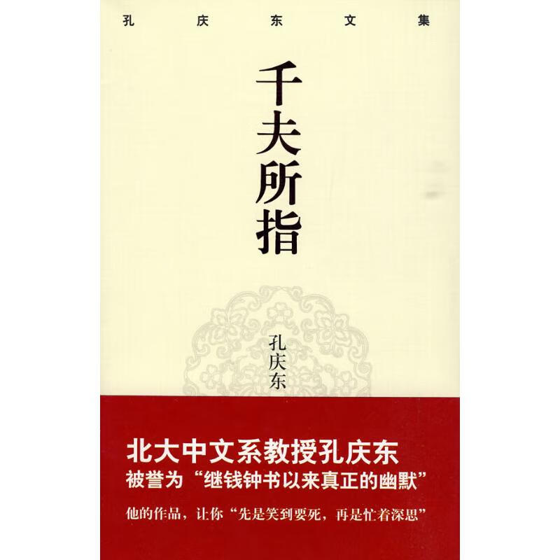 孔庆东文集：千夫所指(精装版)