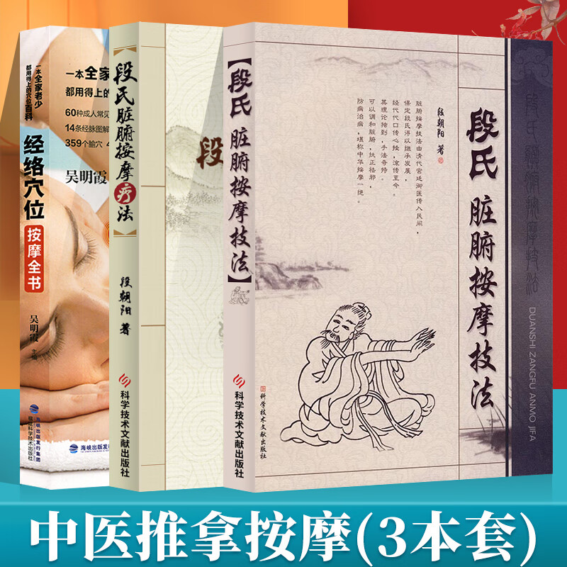 段朝阳著 中医治疗慢性疾病脏腑机能推拿按摩疗法书籍 科学技术文献