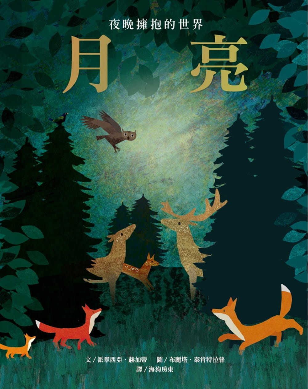 预售 派翠西亚．赫加蒂 月亮：夜晚拥抱的世界 维京