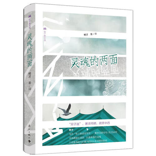 灵魂的两面【好书】