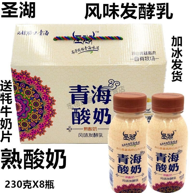 痴宴圣湖青海游牧风味老酸奶230g/8瓶装原味熟酸奶整箱老青海酸奶 圣