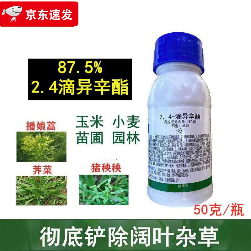 5高含量24滴异辛酯除草剂农药阔叶草刺儿荠菜猪秧婆纳小麦玉米 50g