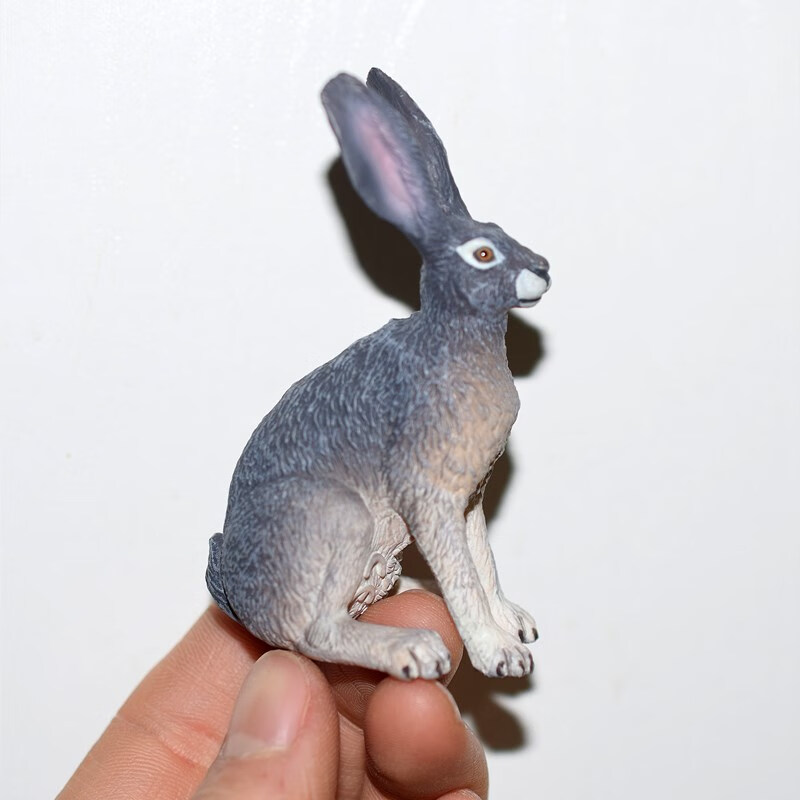 papo动物模型  思乐safari仿真野生动物模型papo少量孤品捡漏儿童玩具