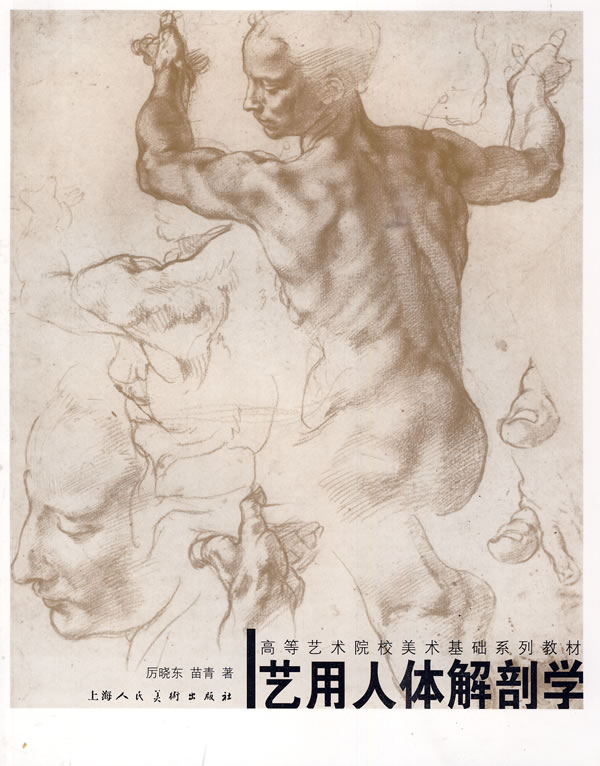 艺用人体解剖学:高等艺术院校美术基础系列教材【正版图书,售后无忧】