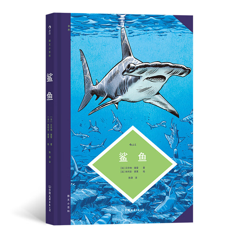 10个主题框架, 带你了解鲨鱼的进化过程,形态特征和生活习性 法国