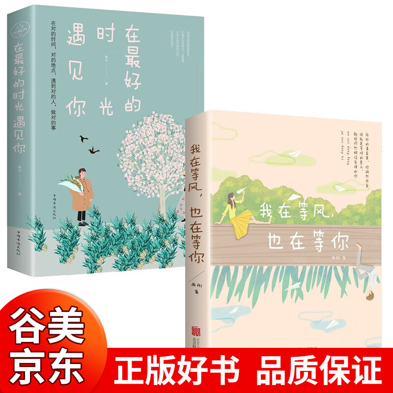 言情小说2本 我在等风也在等你在最好的时光遇见你青春文学校园都市言情小说耽美情感甜宠恋爱女生爱情书籍书籍畅销书