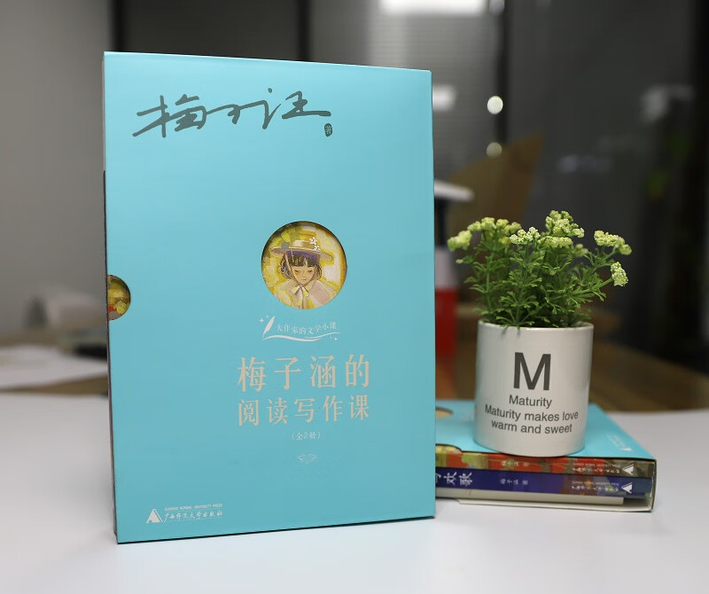 大作家的文学小课：梅子涵的阅读写作课（套装全2册）（神秘岛）详情图