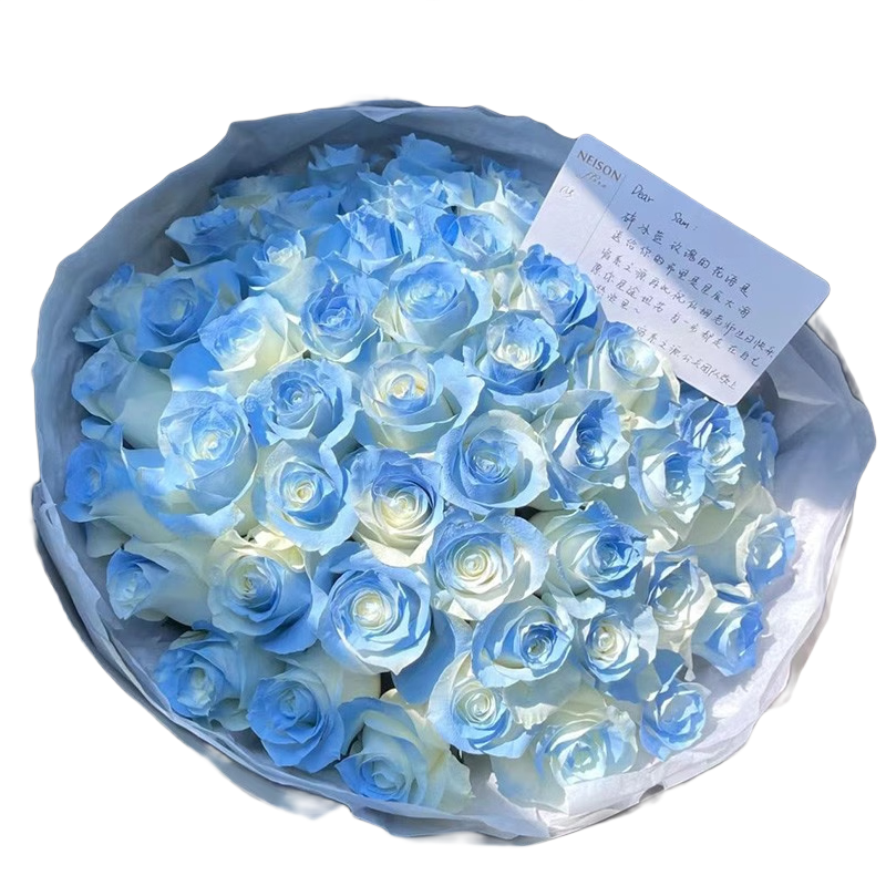 �ʻ���Ԫ��ͬ�����������������õ�廨��������Ů���������� �����������õ�廨��52�� ͬ������ ֧��ԤԼ���� 186.2Ԫ