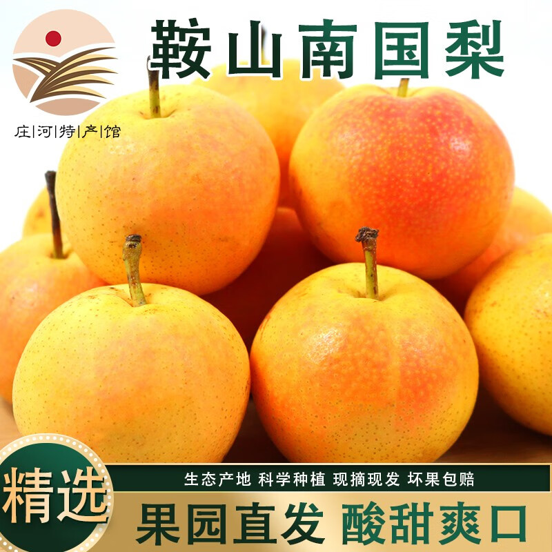 鲜姿正宗辽宁鞍山南果梨东北特产南国梨香水梨新鲜水果秋梨子中秋礼盒 4.5-4.8斤黄果约40枚实惠装