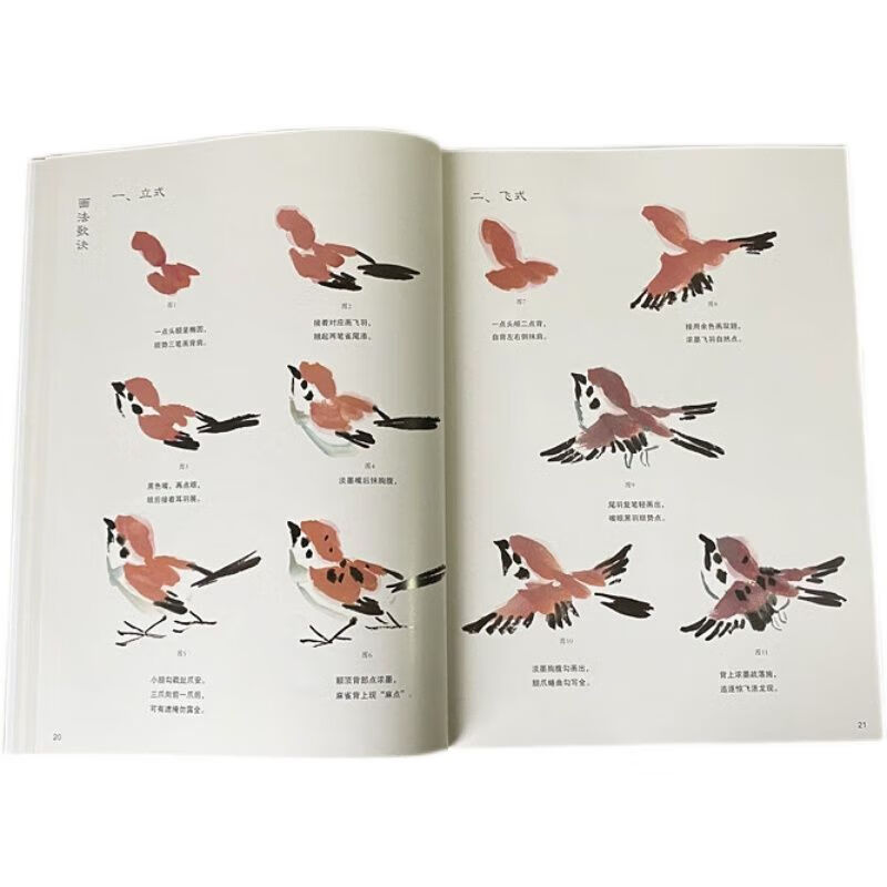 怎样画鸟 国画基础 国画初学入门写意燕子喜鹊八哥丹顶鹤画法