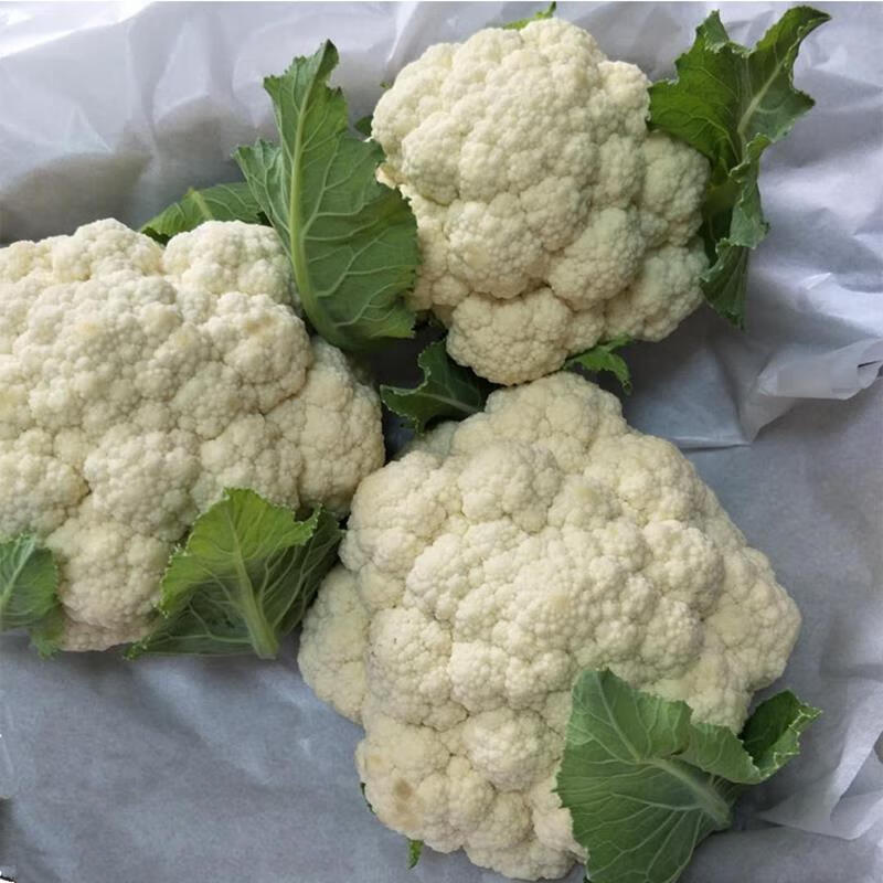 椰菜 相关京东优惠商品推荐降序排行榜 价格图片品牌优惠券 虎窝购