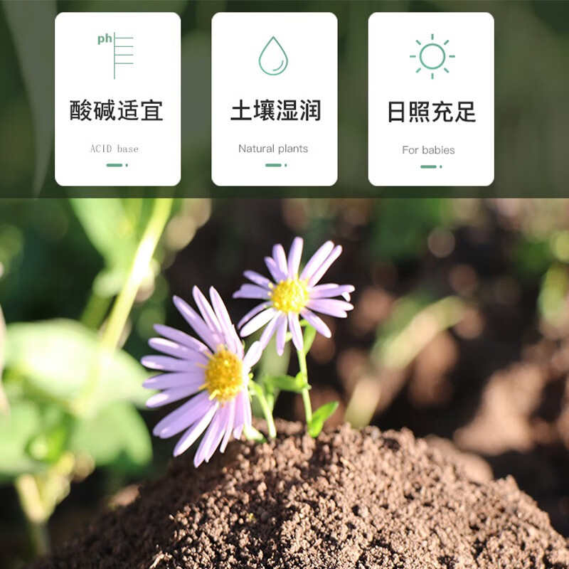 申之北【甄选厂家】营养土腐殖土黑土有机土养花种植土种菜土家庭园艺用 腐殖营养土黑土10斤