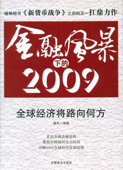 金融风暴下的2009 唐风 著 中国商业出版社