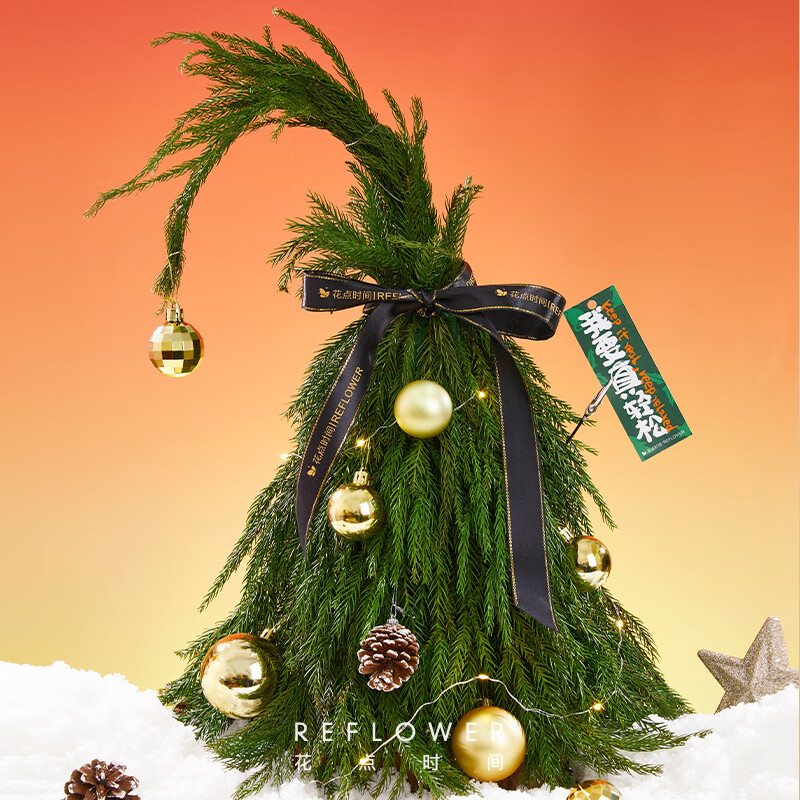 花点时间（Reflower）诺贝松圣诞树鲜切枝绿植盆栽室内圣诞节礼物装饰品送女友-星 精灵造型桌面款圣诞树【精灵树】