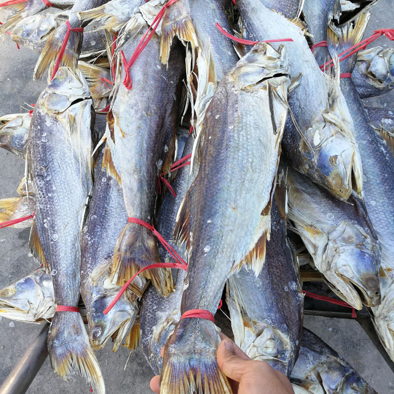 lism正宗马友鱼深海大鱼干海鱼咸鱼干马友鱼干海鲜干货500-1500 马友