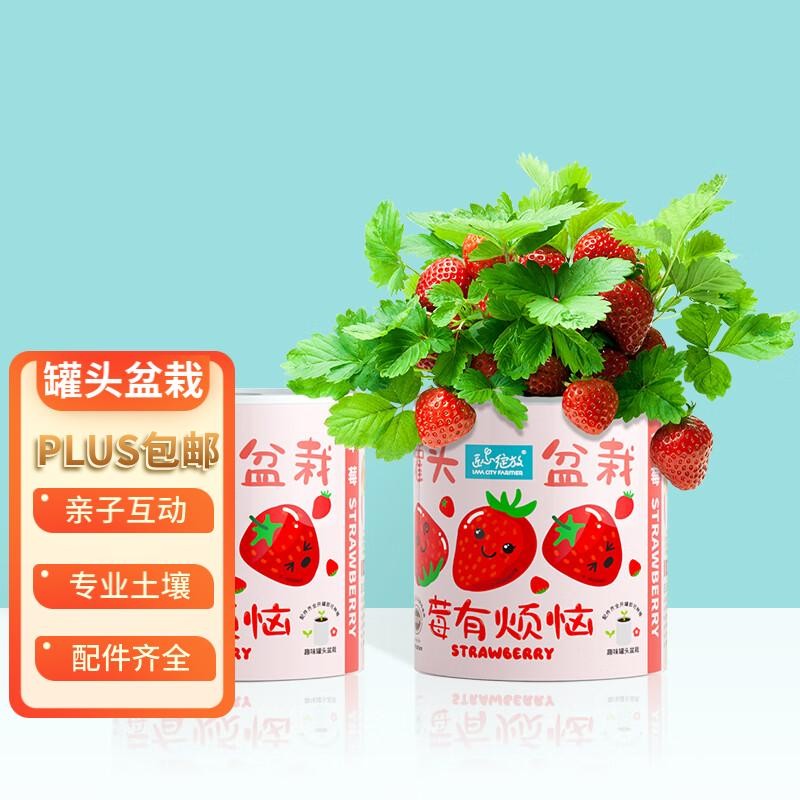 匠心绽放草莓 罐头盆栽莓有烦恼 儿童DIY趣味种植 男孩女孩玩具生日礼物怎么看?
