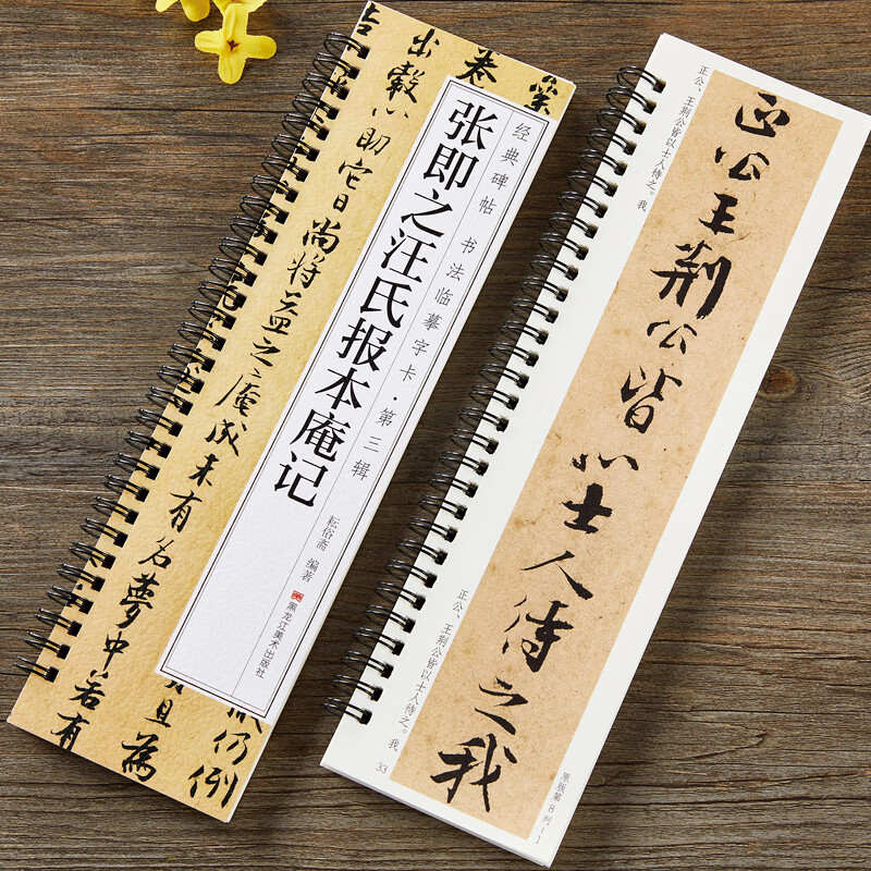 【现货速发】张即之汪氏报本庵记行楷行书毛笔书法字帖 南宋经典碑帖书法临摹字卡原大加放大版附简体旁注 近距离临摹字卡 黑龙江美术出版社