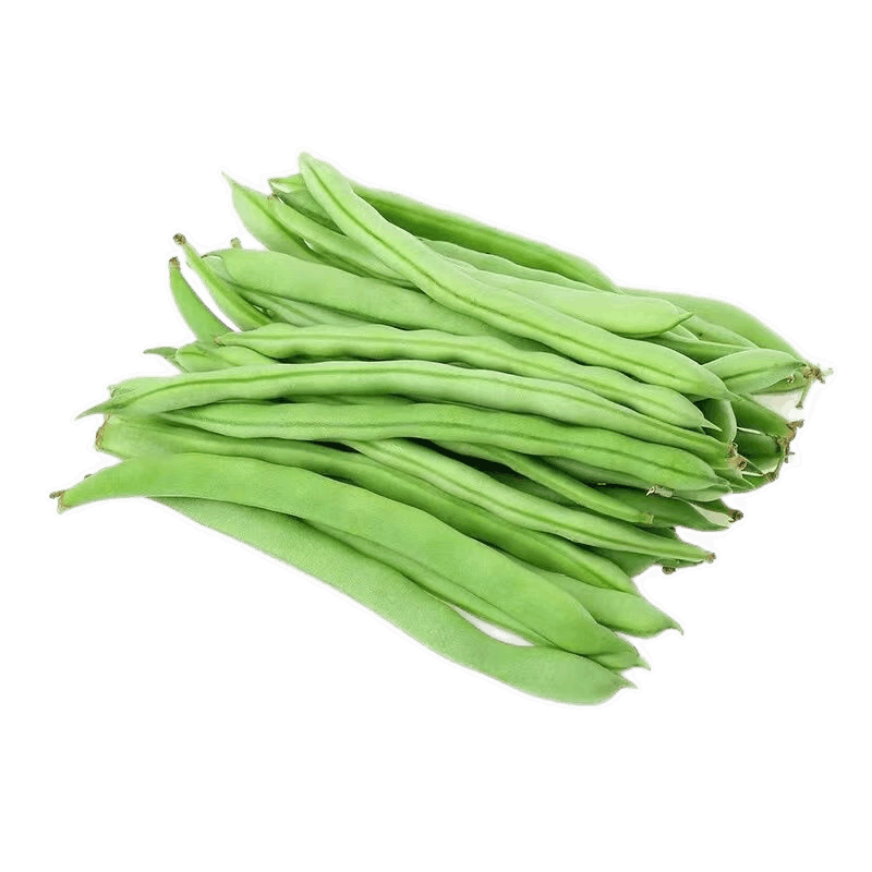 格沃斯【現(xiàn)摘】云南露天四季豆新鮮時(shí)令豆蕓豆新鮮蔬菜 5斤【手選優(yōu)質(zhì)】四季豆
