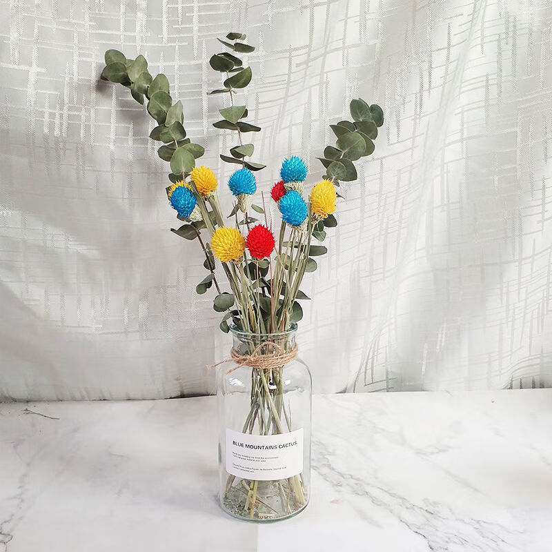 爱满(aiman) 干花尤加利叶北欧风ins北欧风小清新客厅摆件diy家居装饰