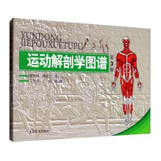 运动解剖学图谱顾德明人民体育出版社9787500943815 运动/健身书籍
