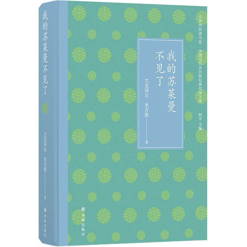 文学共同体书系：我的苏莱曼不见了