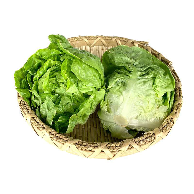 绿食者 沙拉蔬菜组合3.5斤 新鲜苦菊绿叶红叶生菜西餐沙拉健康轻食蔬菜 蔬菜沙拉组合3.5斤【无沙拉酱】