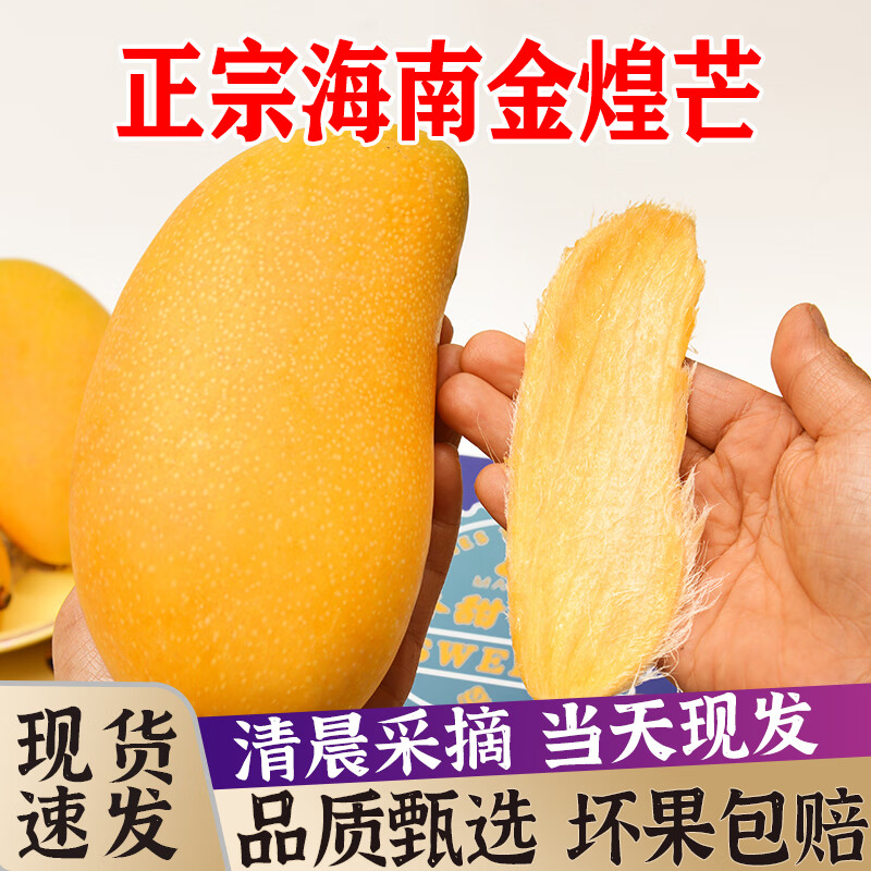 现摘海南金煌芒果 水仙芒 三亚芒果大果热带应当季新鲜水果甜心黄皮忙