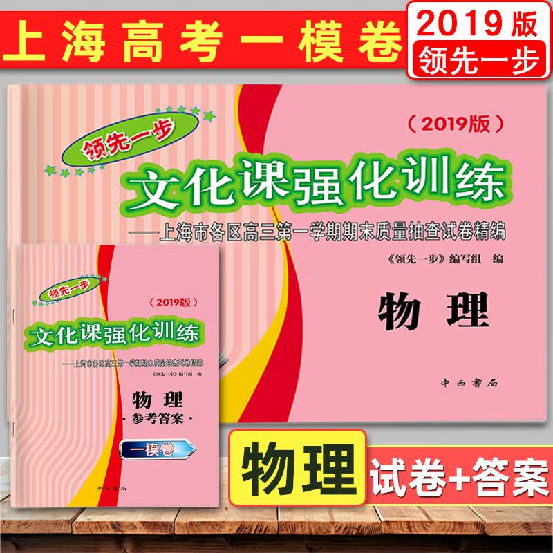 2019版领先一步物理 上海高考物理一模卷 试卷+答案 文化课强化训练 上海市各区高三学期期末质量抽