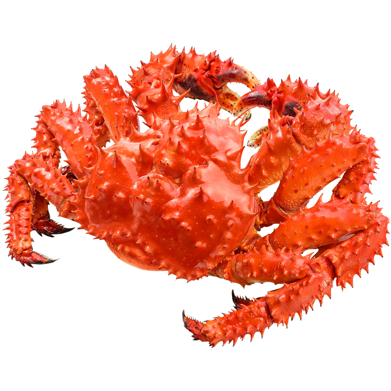 ��������з����ֻ���ʻ��춳 з����������������������� 4-3.5�� ���װ 2695Ԫ��5��(��539Ԫ/��)