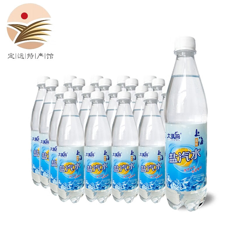 大洋玛 盐汽水600ml大容量盐汽水 碳酸饮料咸味气泡水饮料 600ml*24瓶