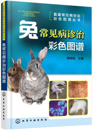 畜禽常见病诊治彩色图谱丛书--兔常见病诊治彩色图谱 化学工业出版社 9787122287632 顾