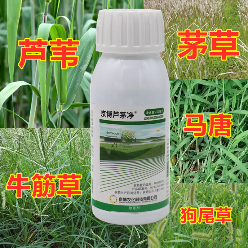时恶性马唐芦苇茅草牛筋草烂根杀根精喹禾灵大豆花生果树花卉除草剂