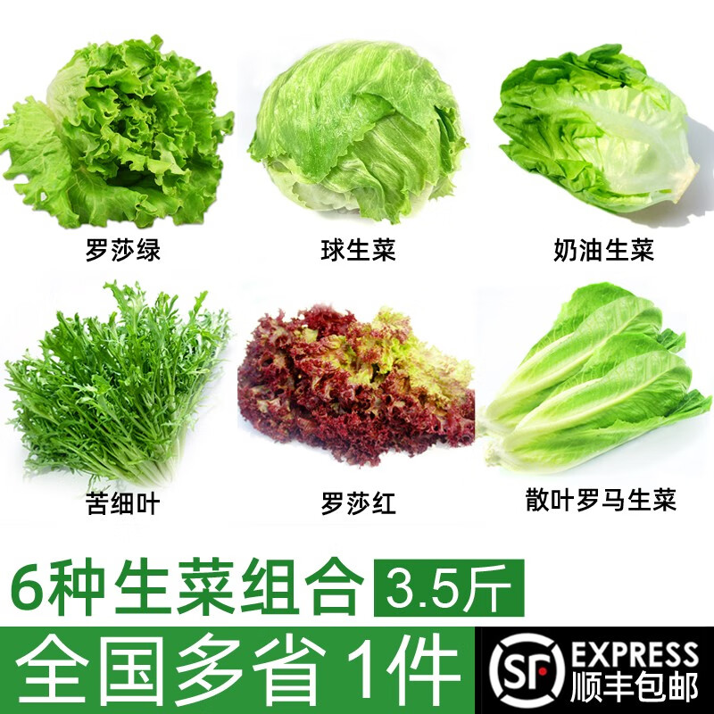 绿食者 沙拉蔬菜组合3.5斤 新鲜苦菊绿叶红叶生菜西餐沙拉健康轻食蔬菜