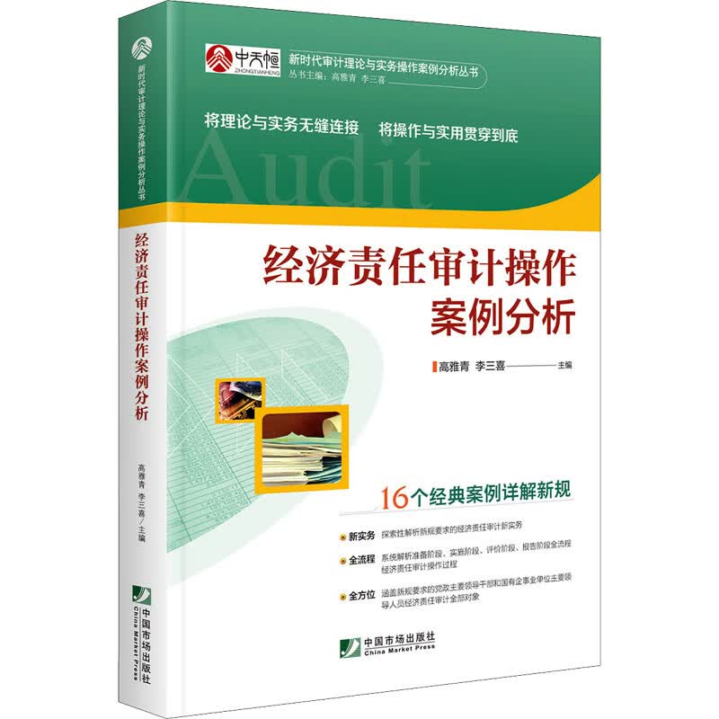 经济责任审计操作案例分析